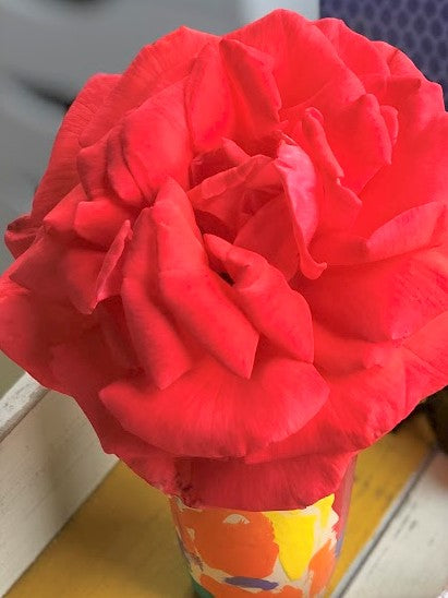 Stop and Smell the Roses
